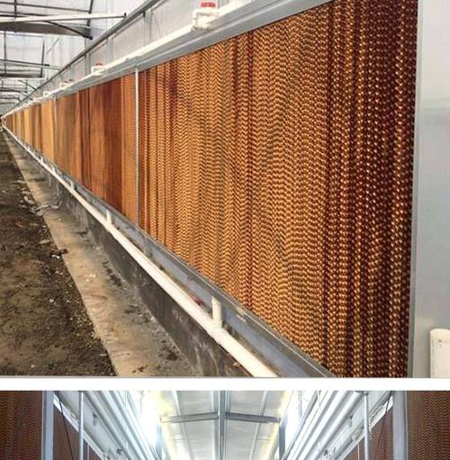 湿帘纸是什么 湿帘纸降温原理